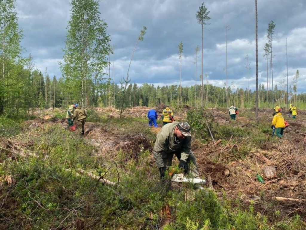 Фото из телеграм-канала Александра Цыбульского